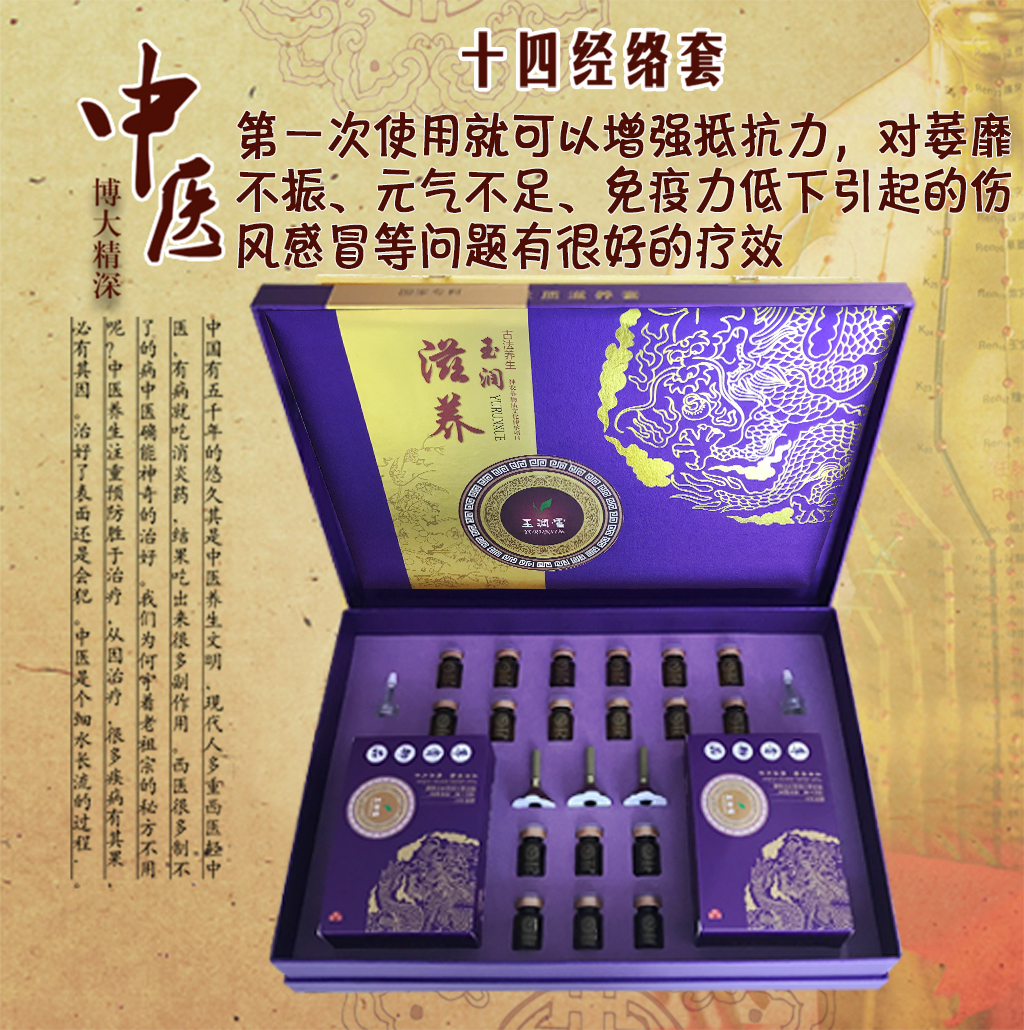 十四经络套