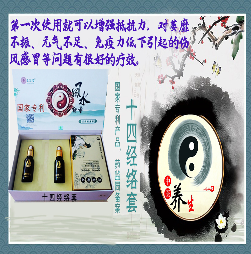 十四经络套