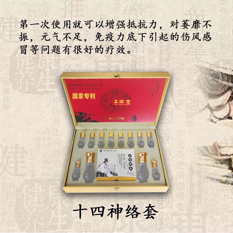十四经络套