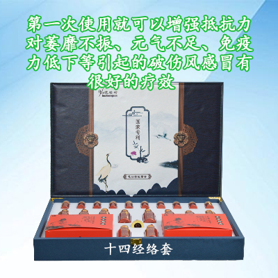十四经络套